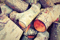 Holsworthy wood burning boiler costs